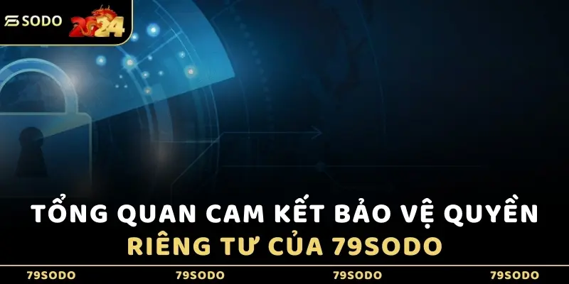 Tổng quan cam kết bảo vệ quyền riêng tư của 79Sodo