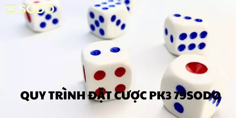 Hướng dẫn quy trình đặt cược bộ môn PK3 tại 79sodo